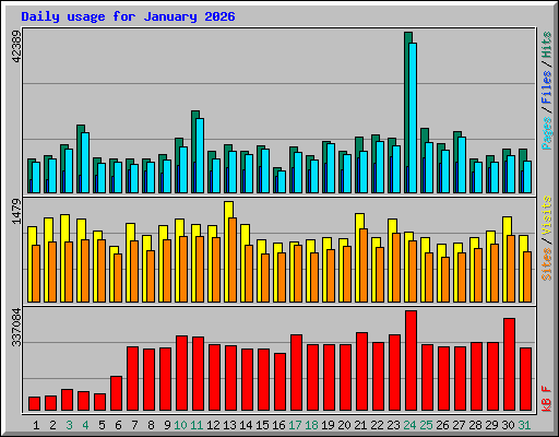 Daily usage for January 2026