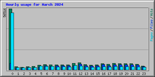 Hourly usage for March 2024