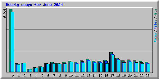 Hourly usage for June 2024