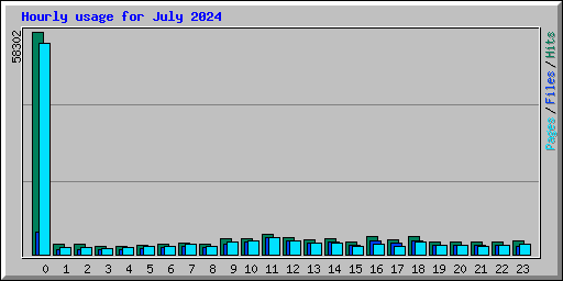 Hourly usage for July 2024