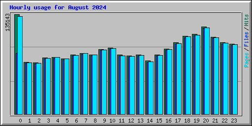 Hourly usage for August 2024