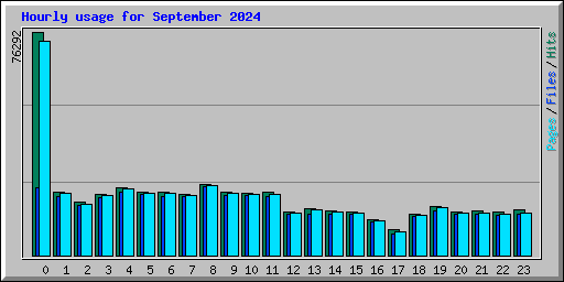 Hourly usage for September 2024