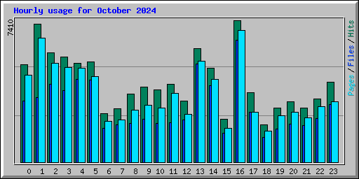 Hourly usage for October 2024