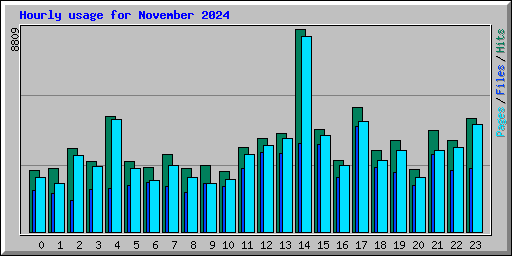 Hourly usage for November 2024