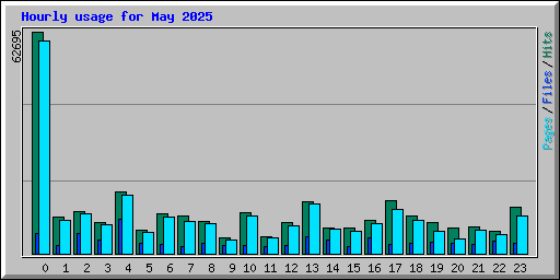 Hourly usage for May 2025