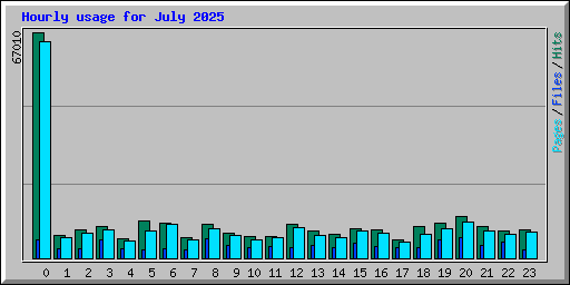 Hourly usage for July 2025