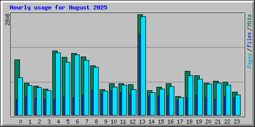Hourly usage for August 2025