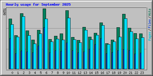 Hourly usage for September 2025
