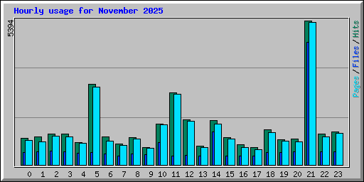 Hourly usage for November 2025