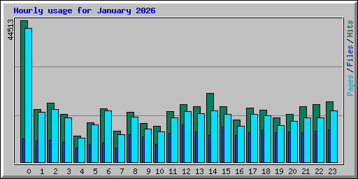 Hourly usage for January 2026