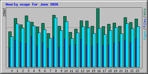 Hourly usage for June 2026
