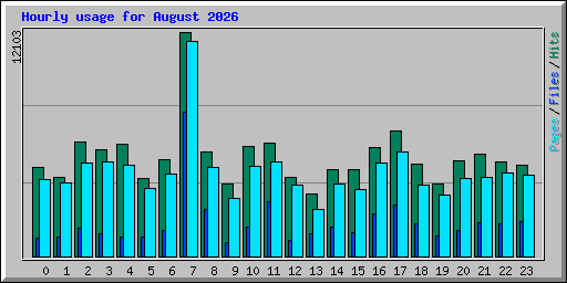 Hourly usage for August 2026